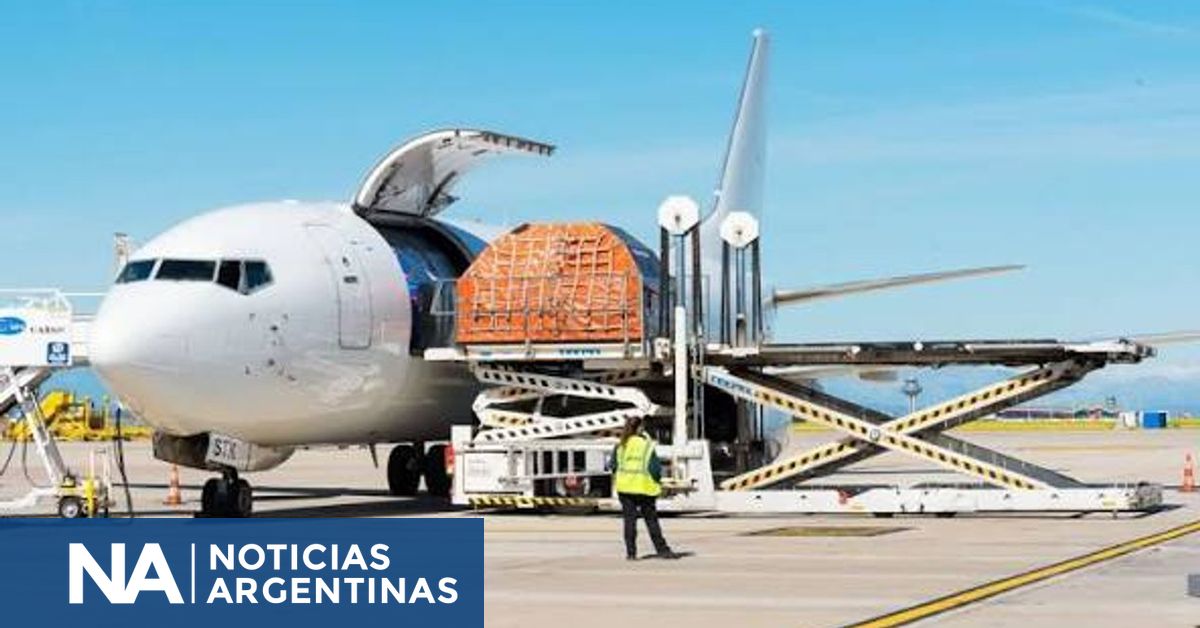 La demanda mundial de carga aérea subió 7,7% interanual en septiembre, según IATA