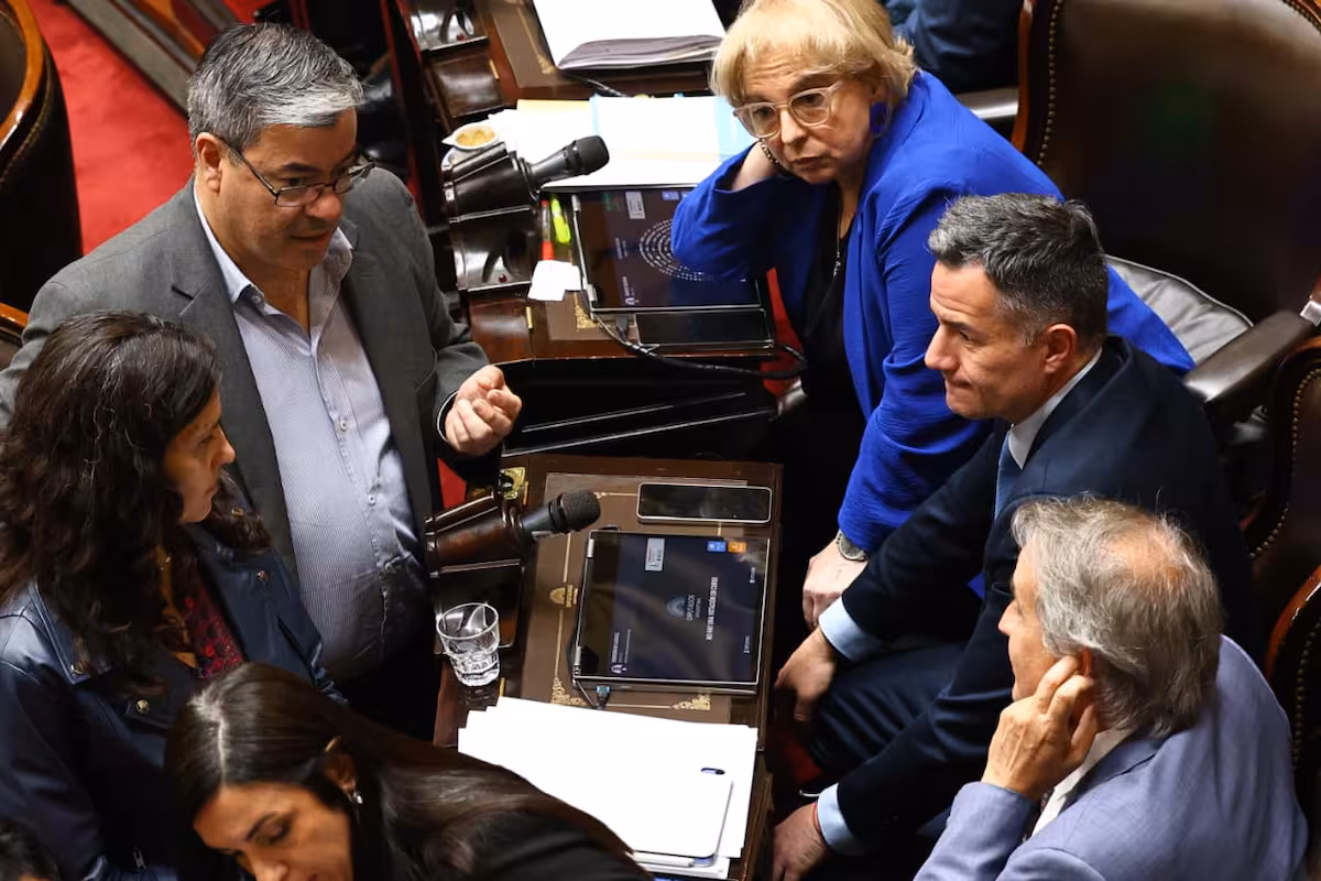 El oficialismo avanza hacia la aprobación del proyecto de discapacidad con apoyo del peronismo y Provincias Unidas